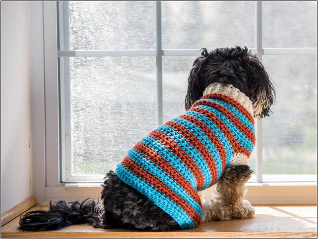 Crochet Pattern For Dog Sweater Dachshund