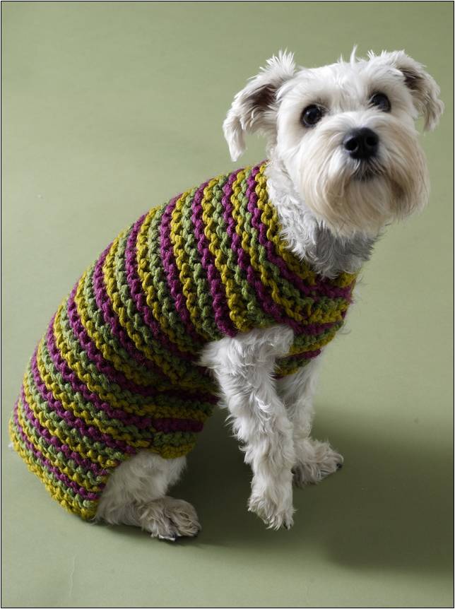 Small Crochet Dog Sweater Pattern