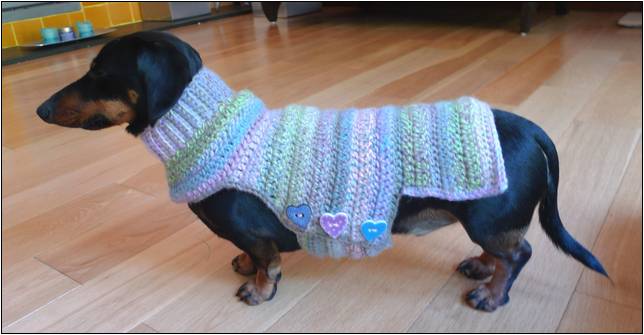 Free Crochet Dachshund Sweater Pattern